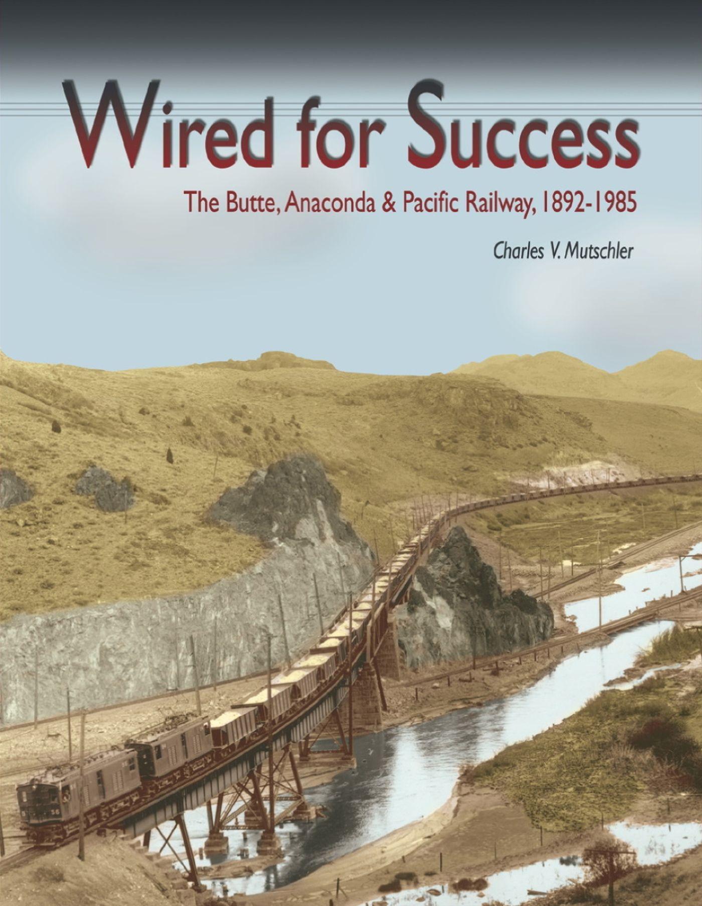 Vorderes Coverbild Wired for Success