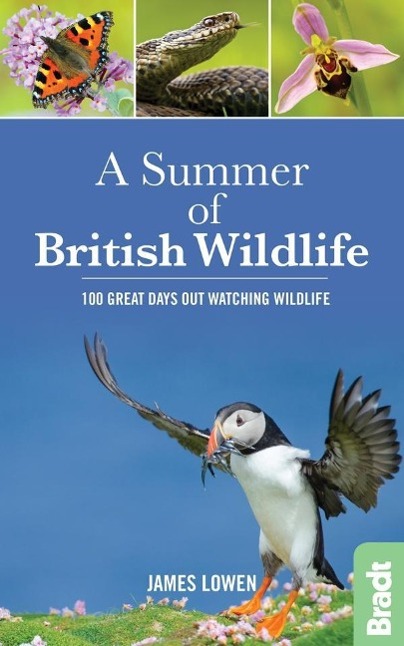 Vorderes Coverbild A Summer of British Wildlife