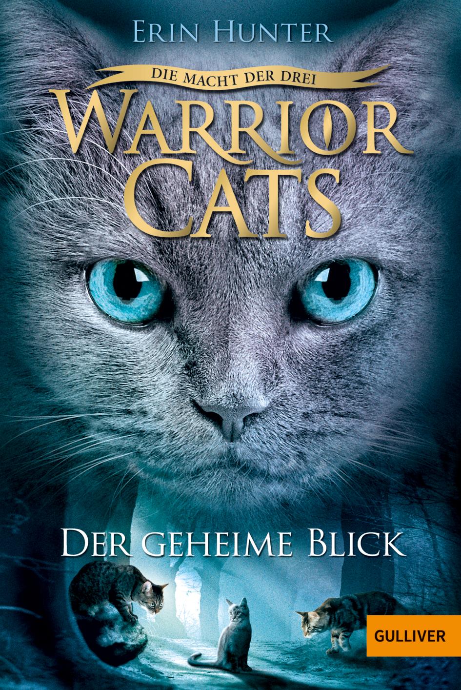 Vorderes Coverbild Warrior Cats Staffel 3/01. Die Macht der Drei. Der geheime Blick