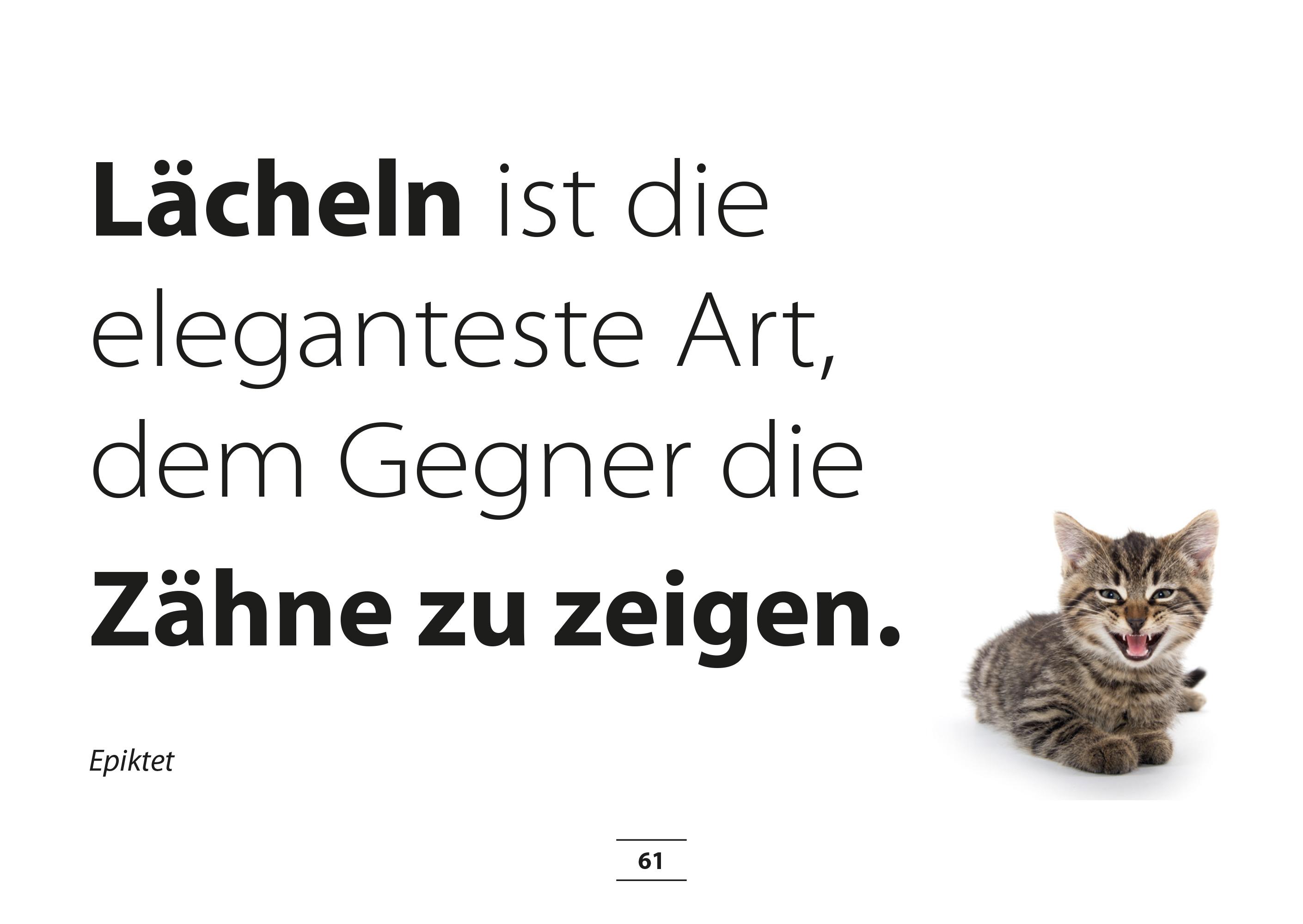 Beispielinhalt (Bild) MUTivationsbox - 101 Zitate auf Designerpostkarten für deine Motivation