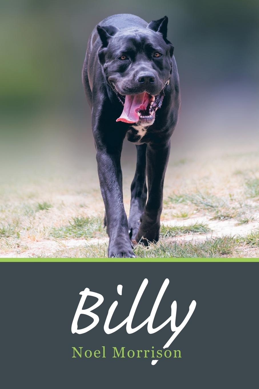 Vorderes Coverbild Billy