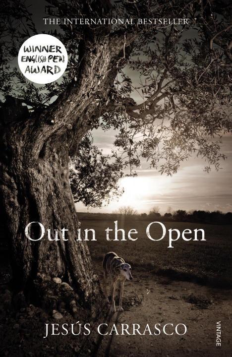 Vorderes Coverbild Out in the Open