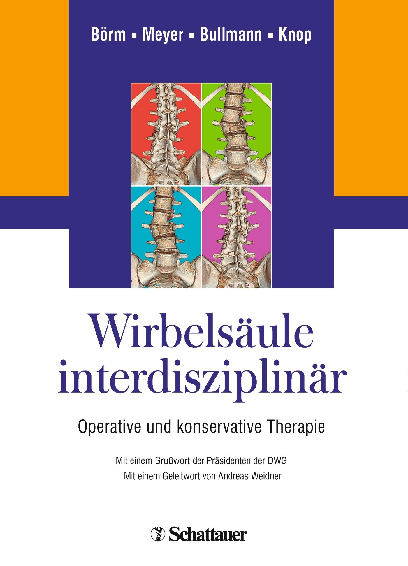 Vorderes Coverbild Wirbelsäule interdisziplinär