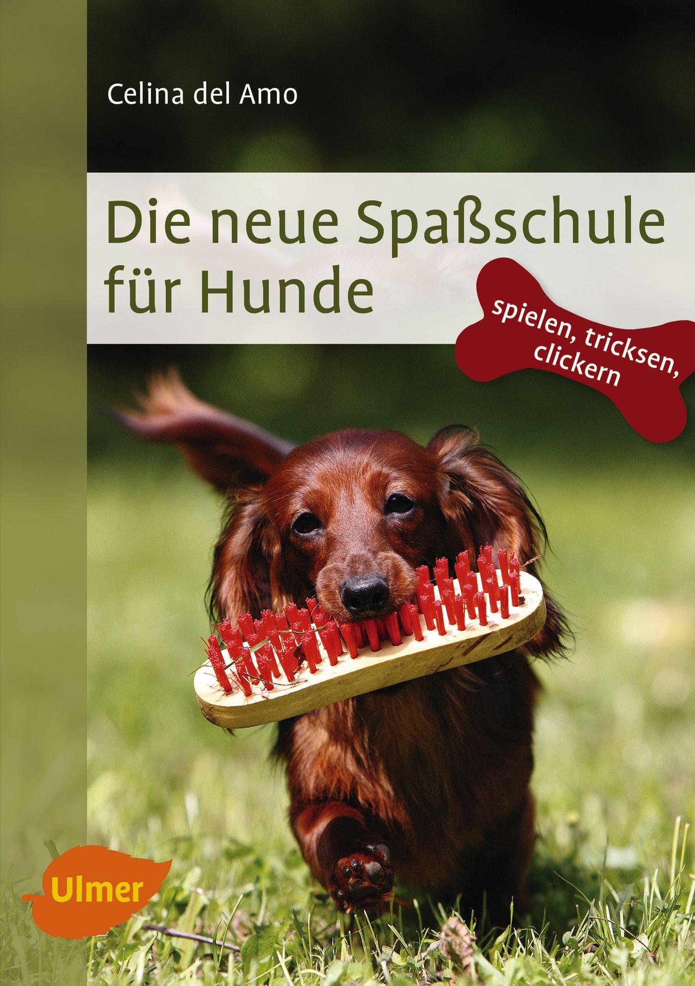 Vorderes Coverbild Die neue Spaßschule für Hunde