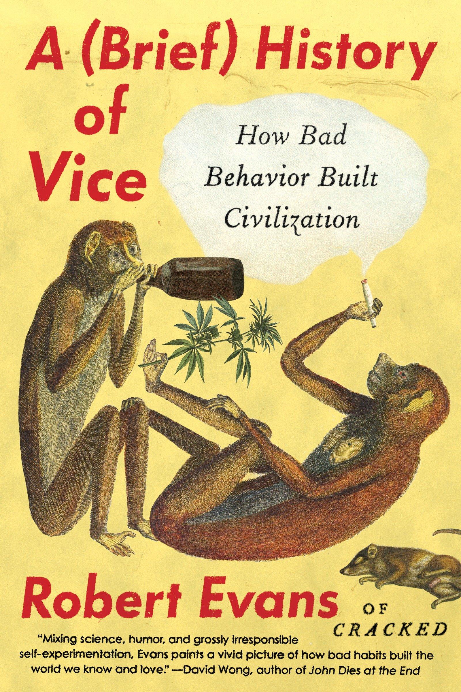 Vorderes Coverbild A Brief History of Vice