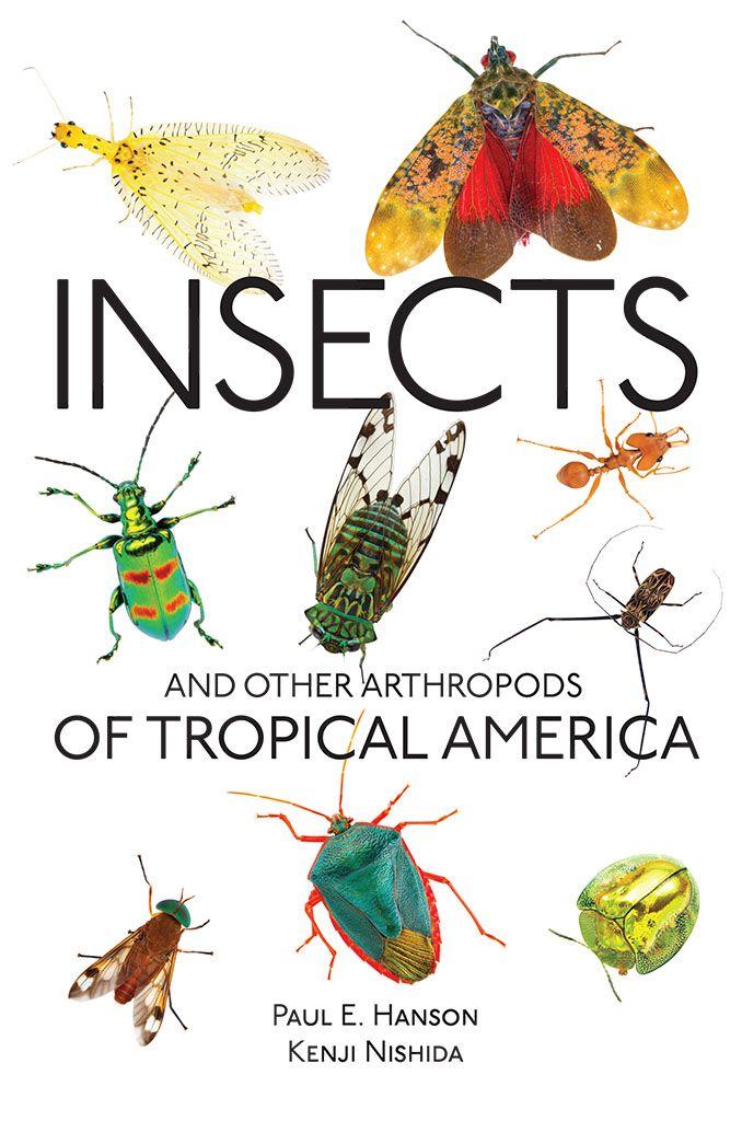 Vorderes Coverbild Insects and Other Arthropods of Tropical America