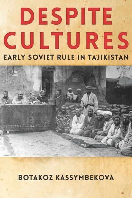 Vorderes Coverbild Despite Cultures