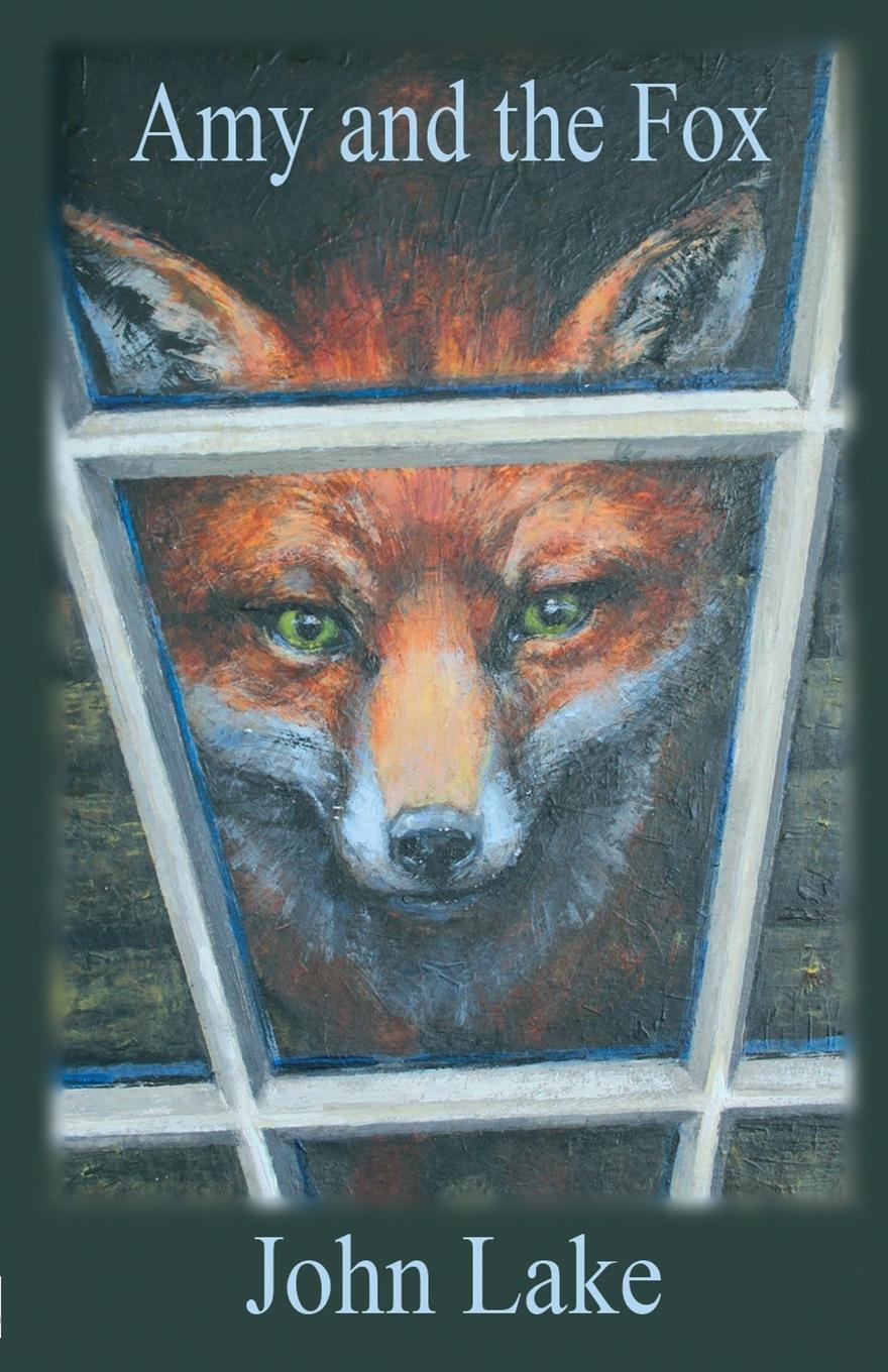 Vorderes Coverbild Amy and the Fox