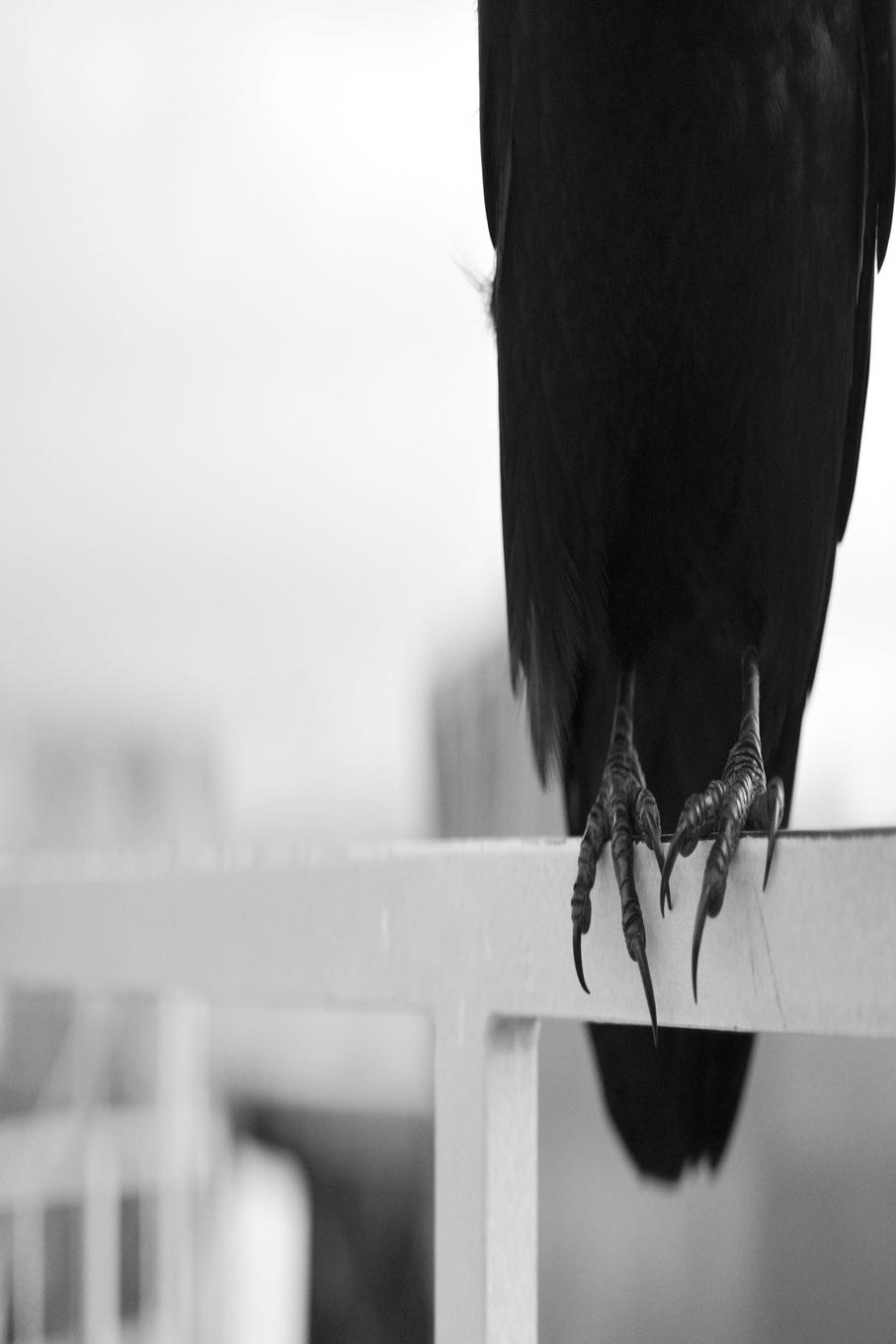 Vorderes Coverbild First Year Composition Volume II