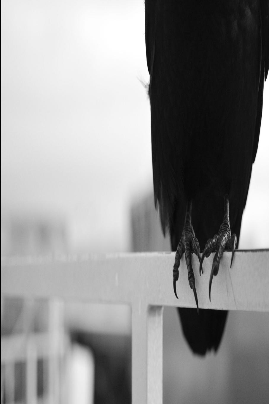 Vorderes Coverbild First Year Composition Volume IV