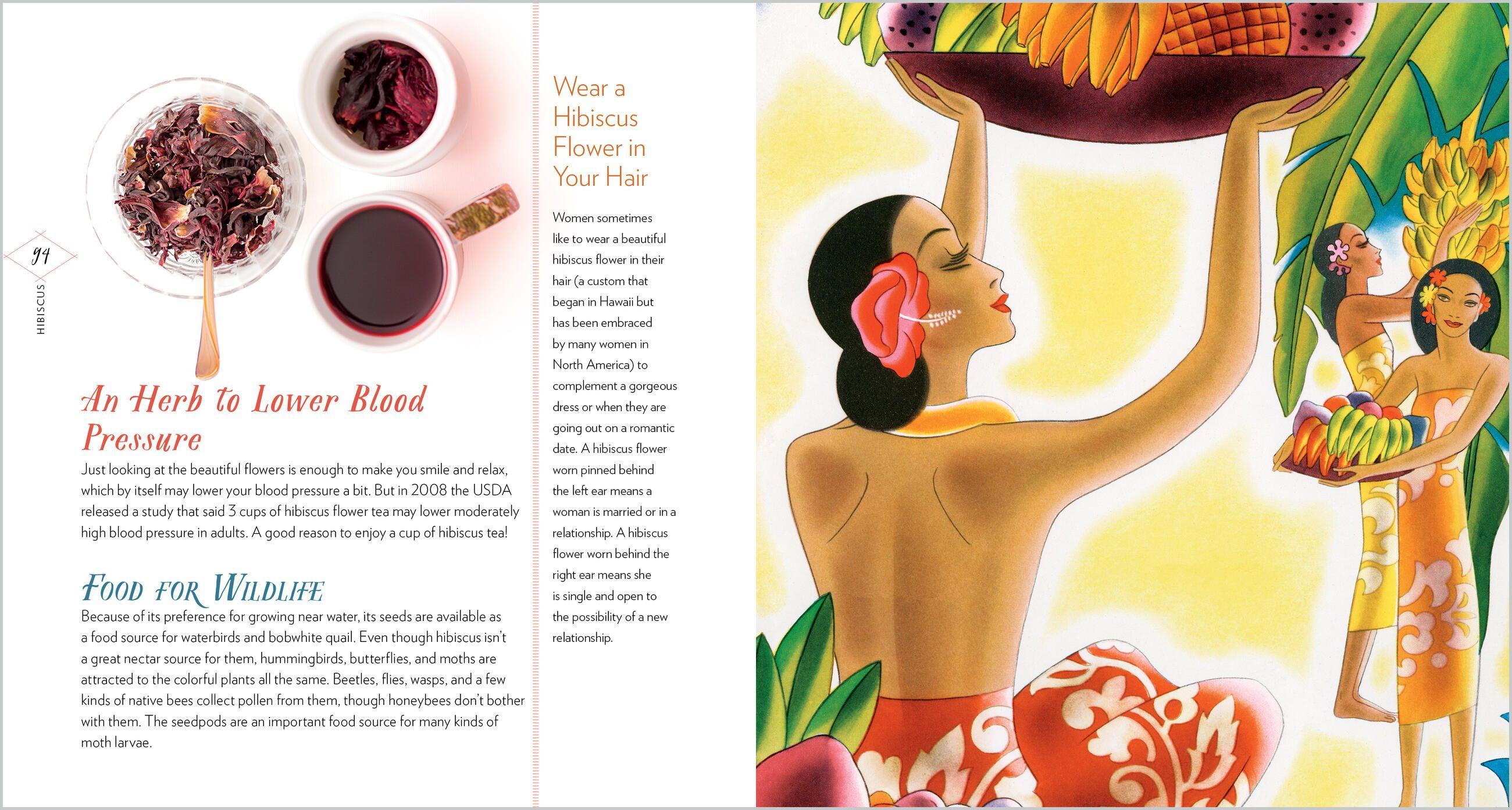 Beispielinhalt (Bild) Cattail Moonshine & Milkweed Medicine