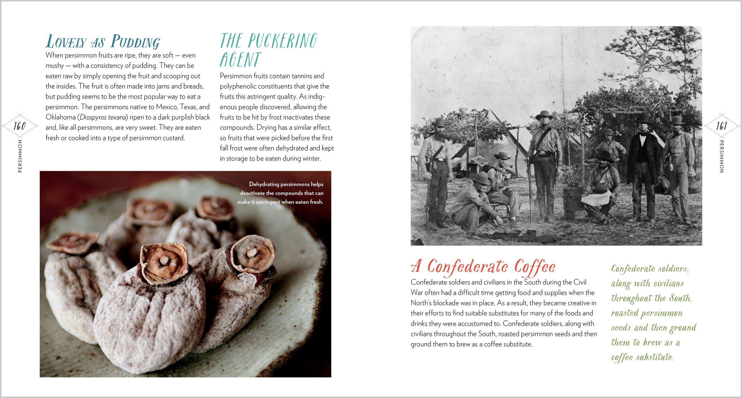 Beispielinhalt (Bild) Cattail Moonshine & Milkweed Medicine