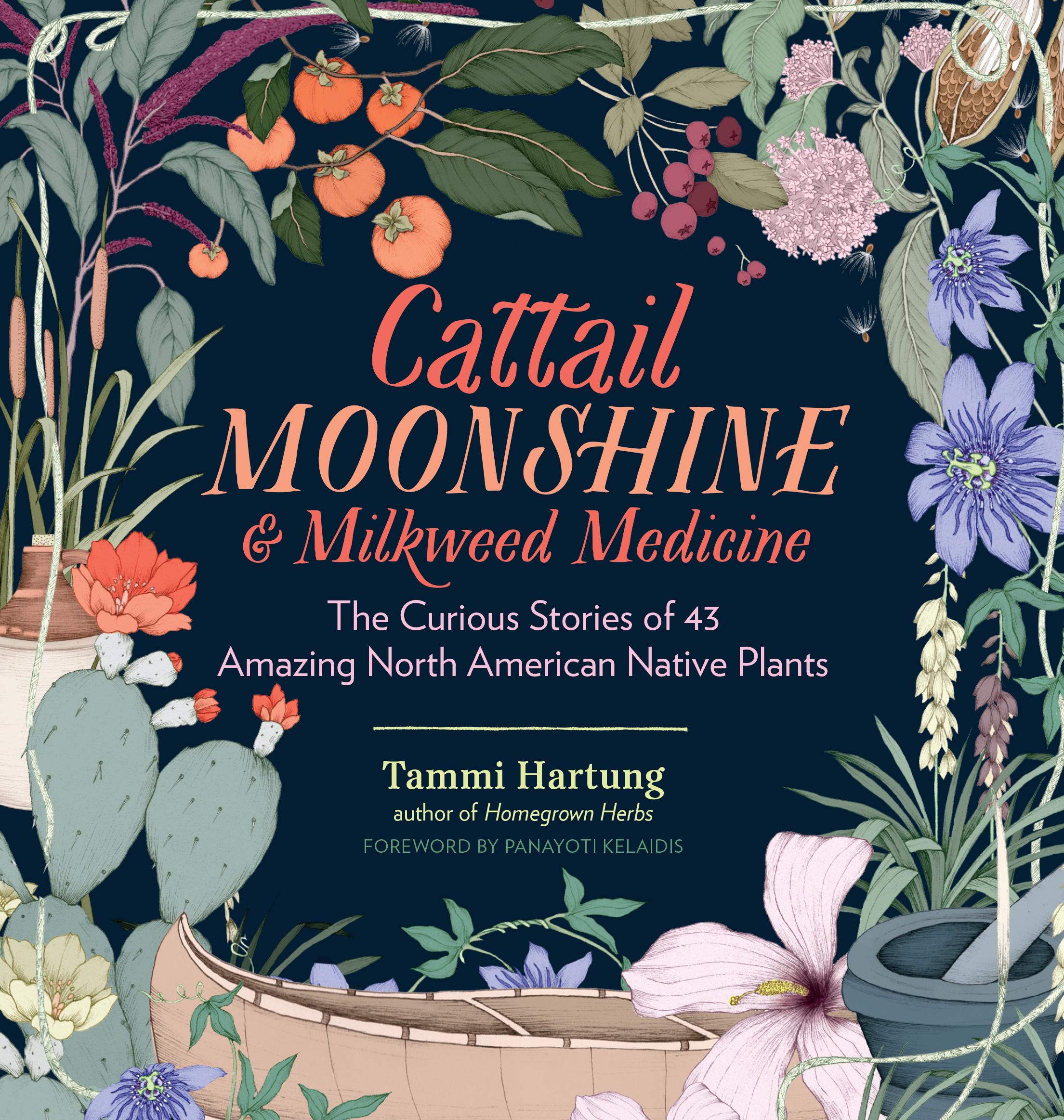 Vorderes Coverbild Cattail Moonshine & Milkweed Medicine