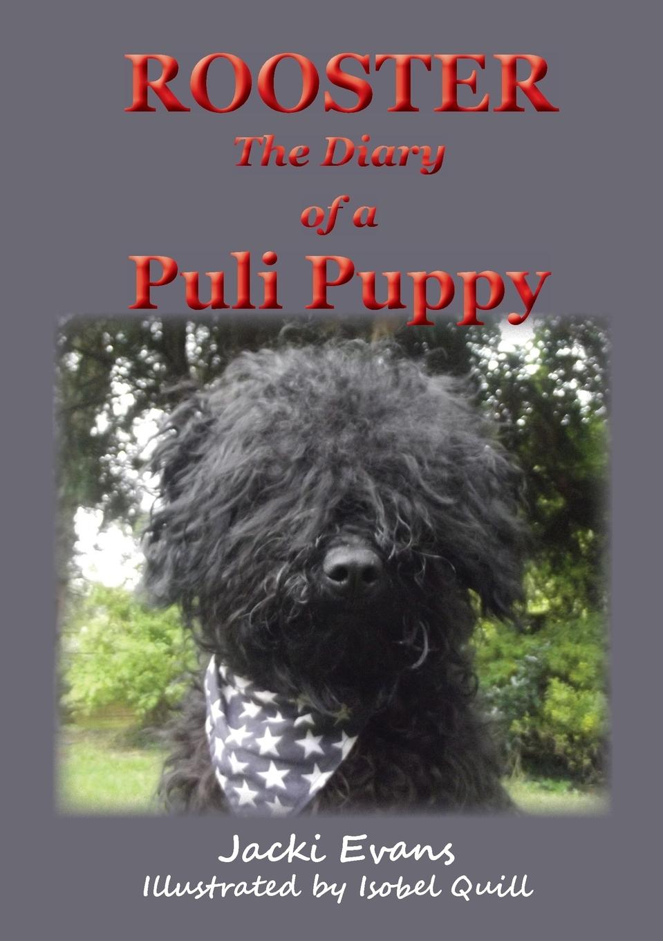 Vorderes Coverbild Rooster - the Diary of a Puli Puppy