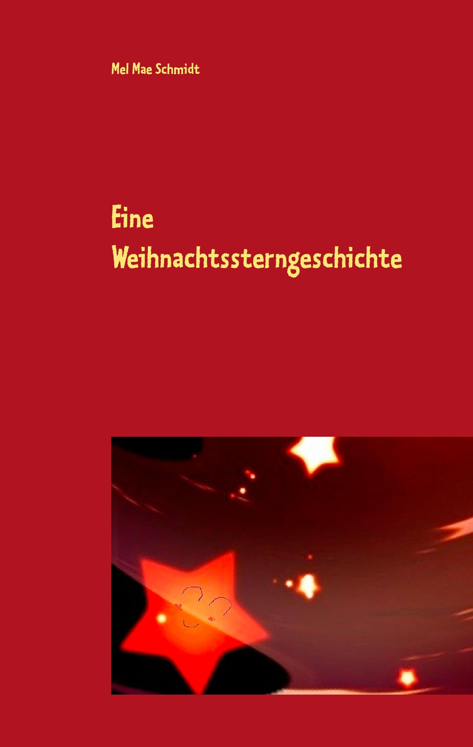 Vorderes Coverbild Eine Weihnachtssterngeschichte