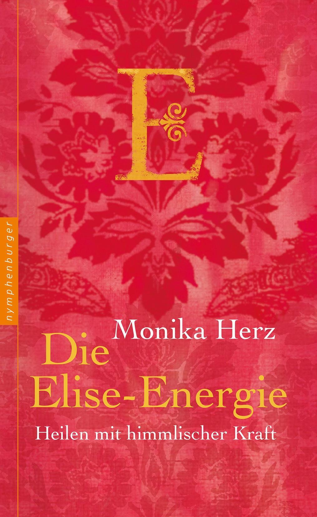 Vorderes Coverbild Die Elise-Energie