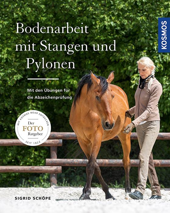 Vorderes Coverbild Bodenarbeit mit Stangen und Pylonen