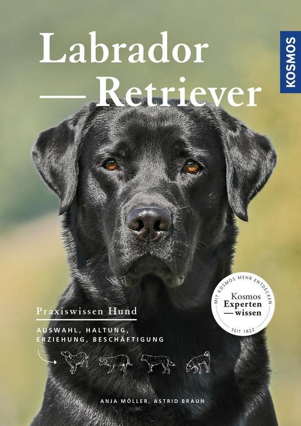 Vorderes Coverbild Labrador Retriever