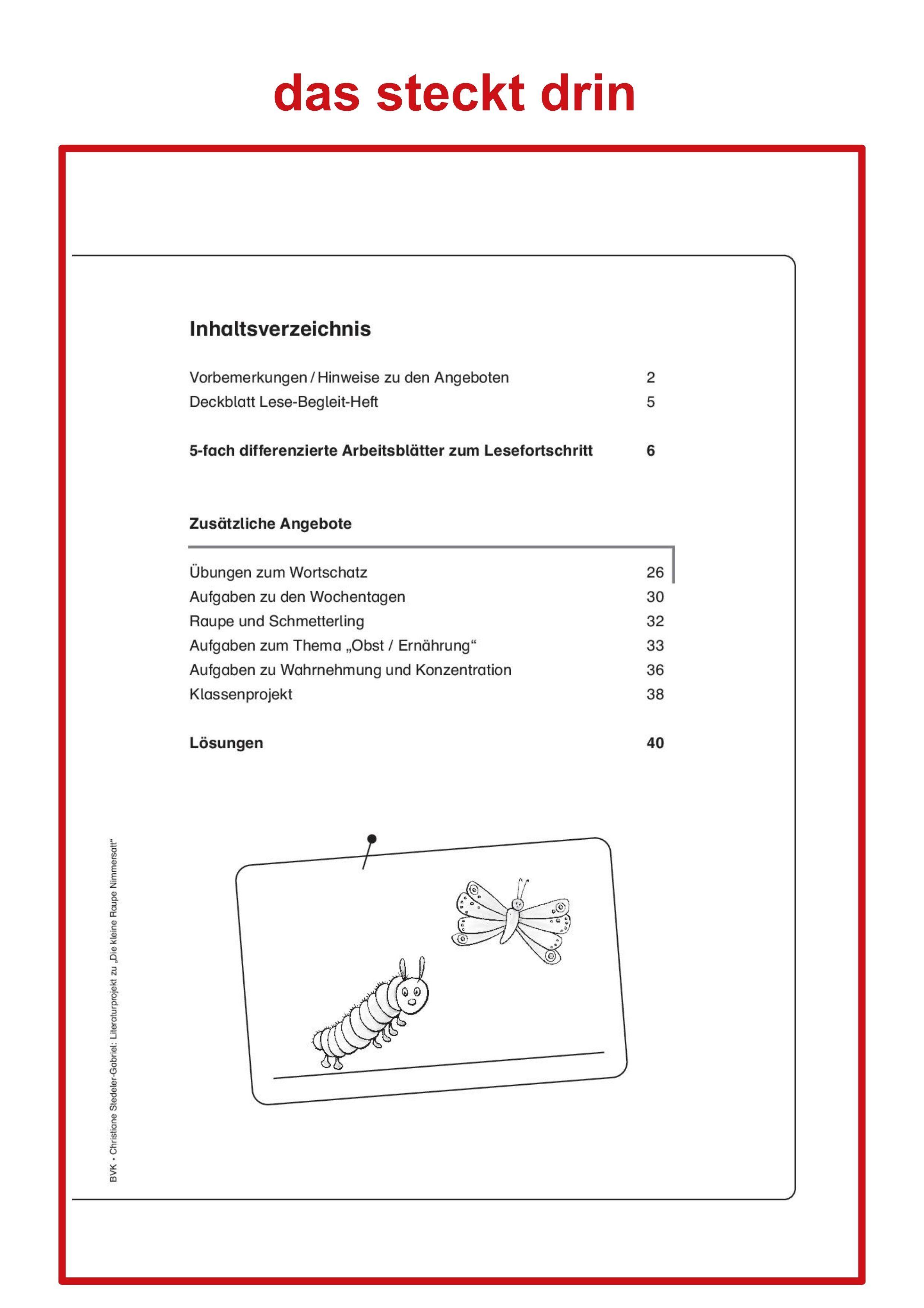 Beispielinhalt (Bild) Literaturprojekt zu "Die kleine Raupe Nimmersatt"