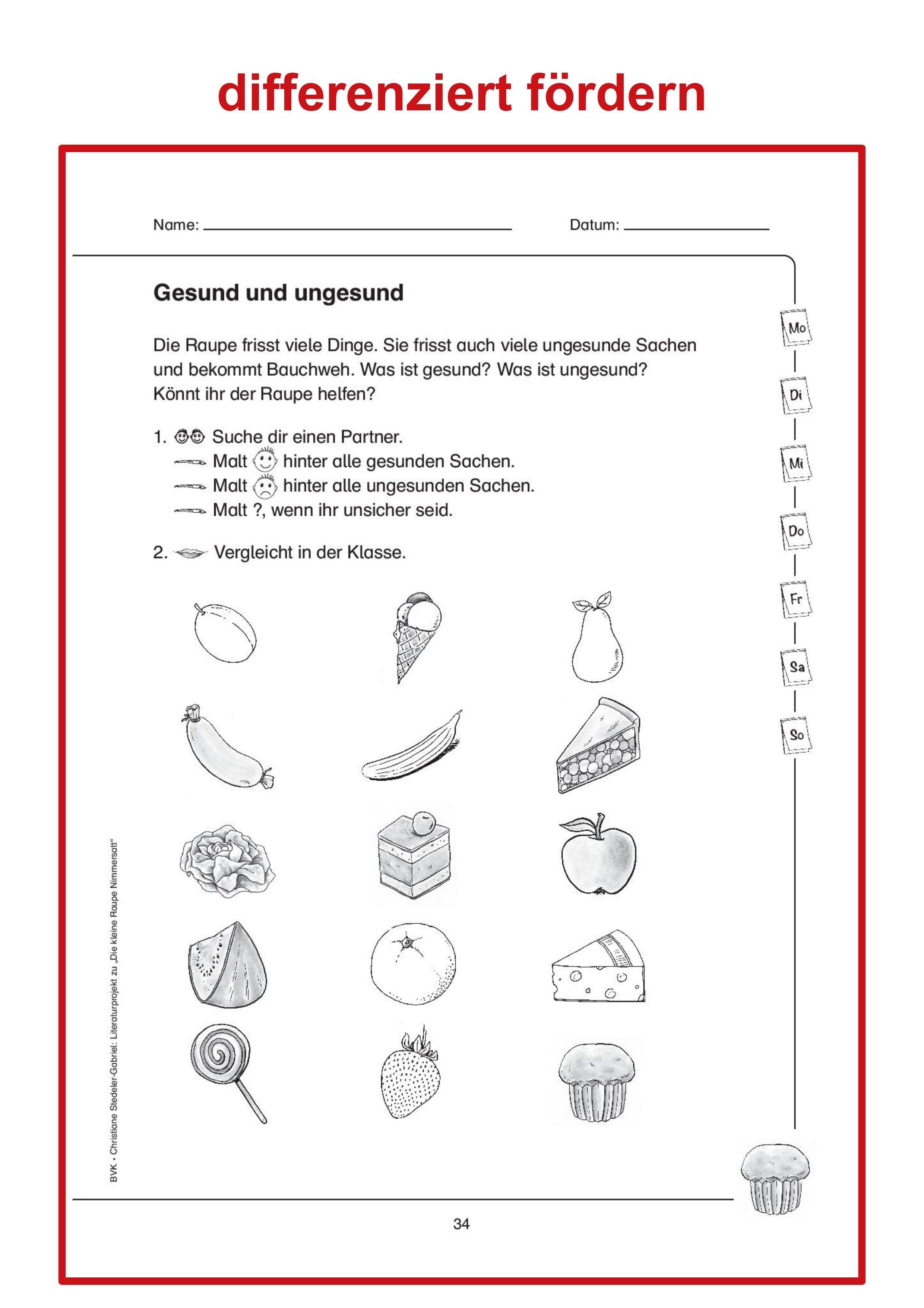 Beispielinhalt (Bild) Literaturprojekt zu "Die kleine Raupe Nimmersatt"