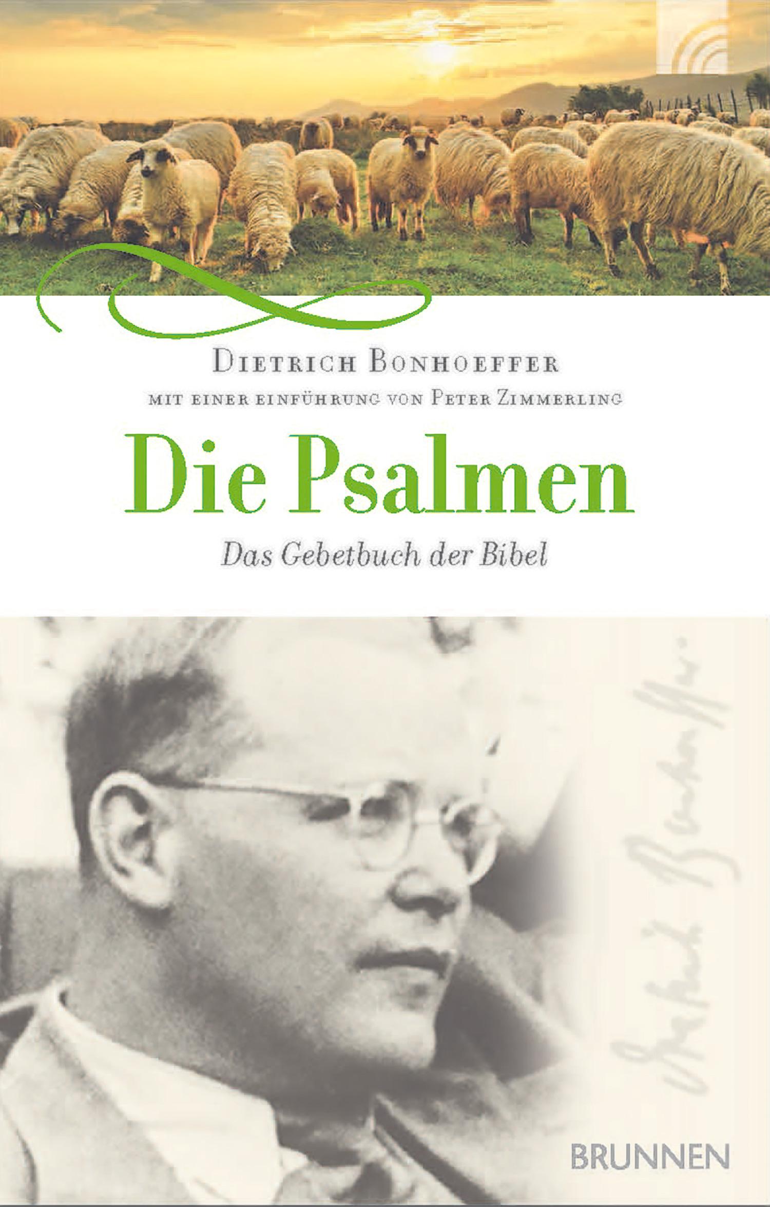 Vorderes Coverbild Die Psalmen