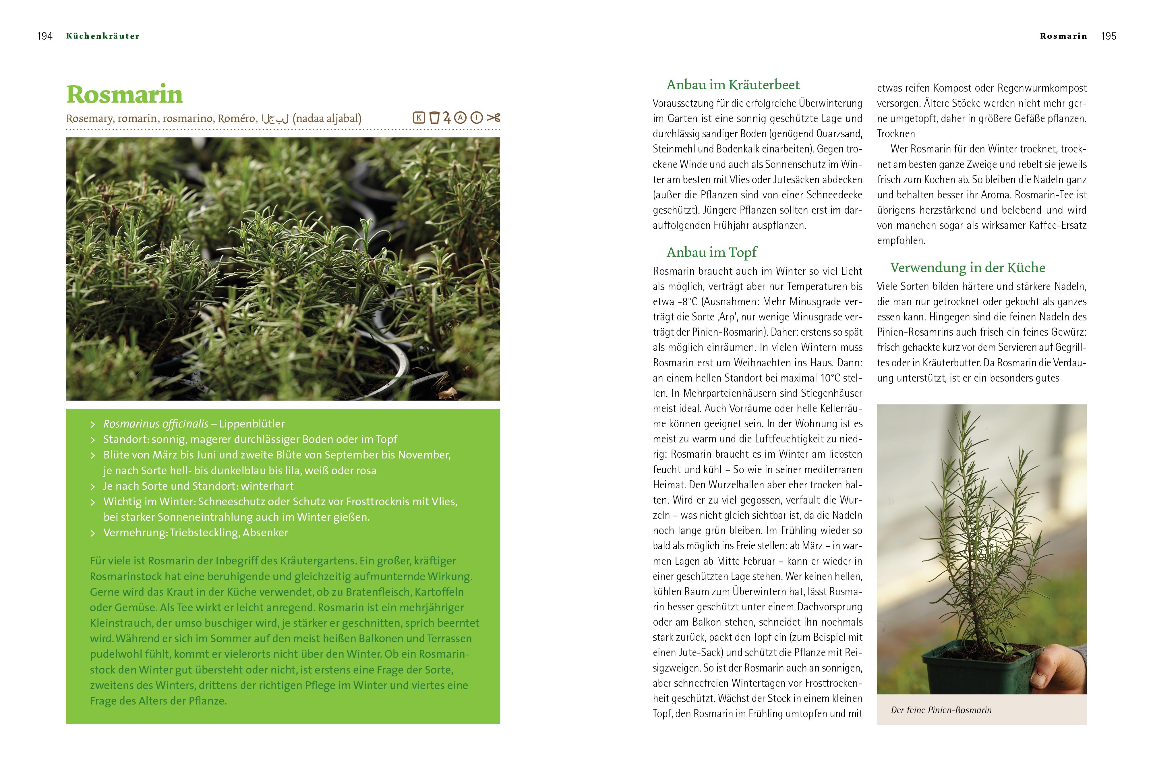 Beispielinhalt (Bild) Kräuter richtig anbauen