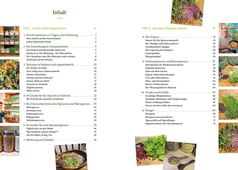 Beispielinhalt (Bild) Der Salatgarten für zuhause