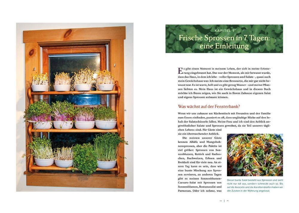 Beispielinhalt (Bild) Der Salatgarten für zuhause
