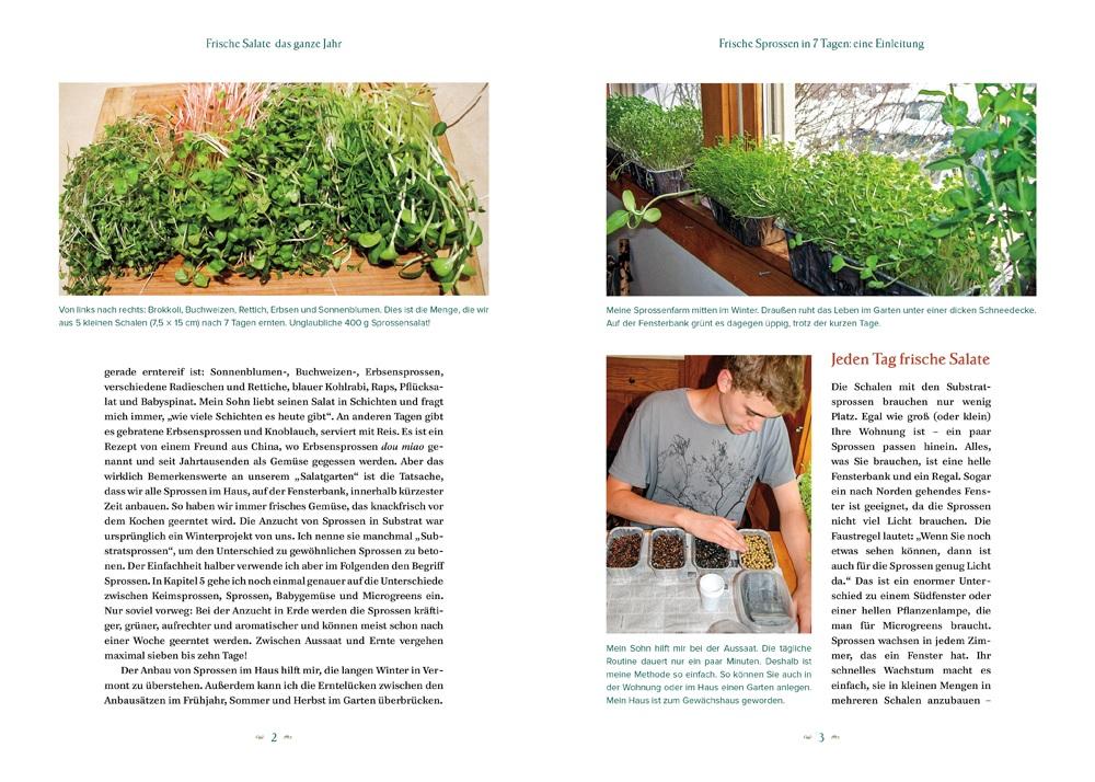 Beispielinhalt (Bild) Der Salatgarten für zuhause