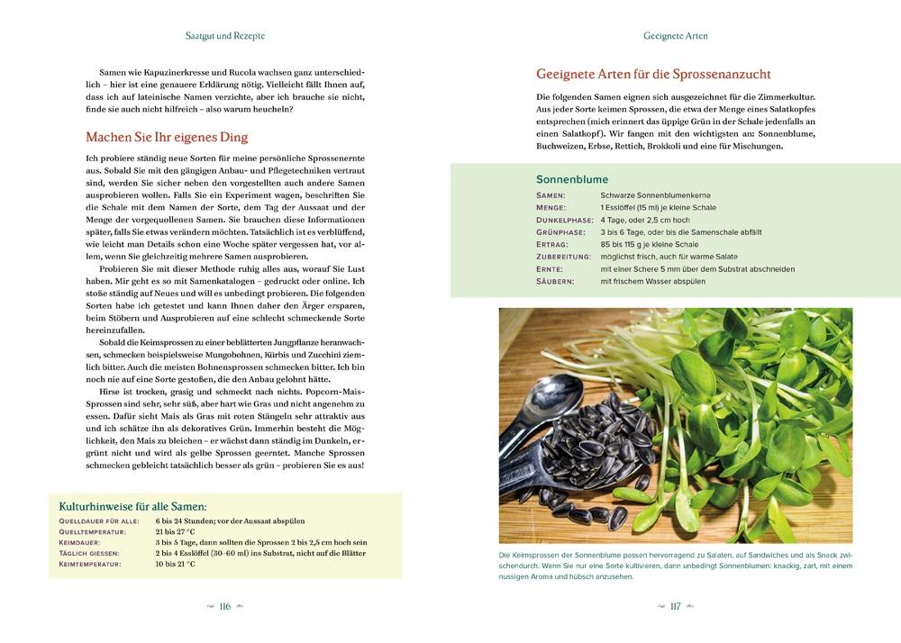 Beispielinhalt (Bild) Der Salatgarten für zuhause