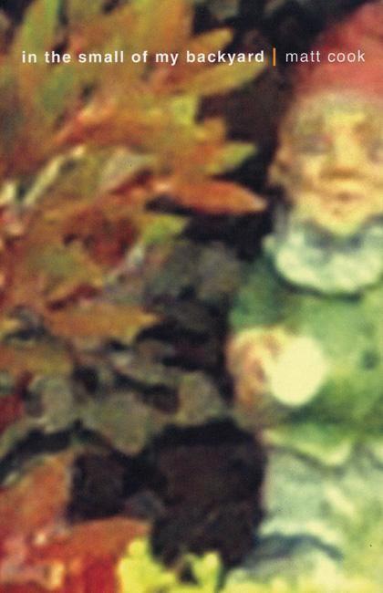 Vorderes Coverbild In the Small of My Backyard: Women of the South Asian Diaspora