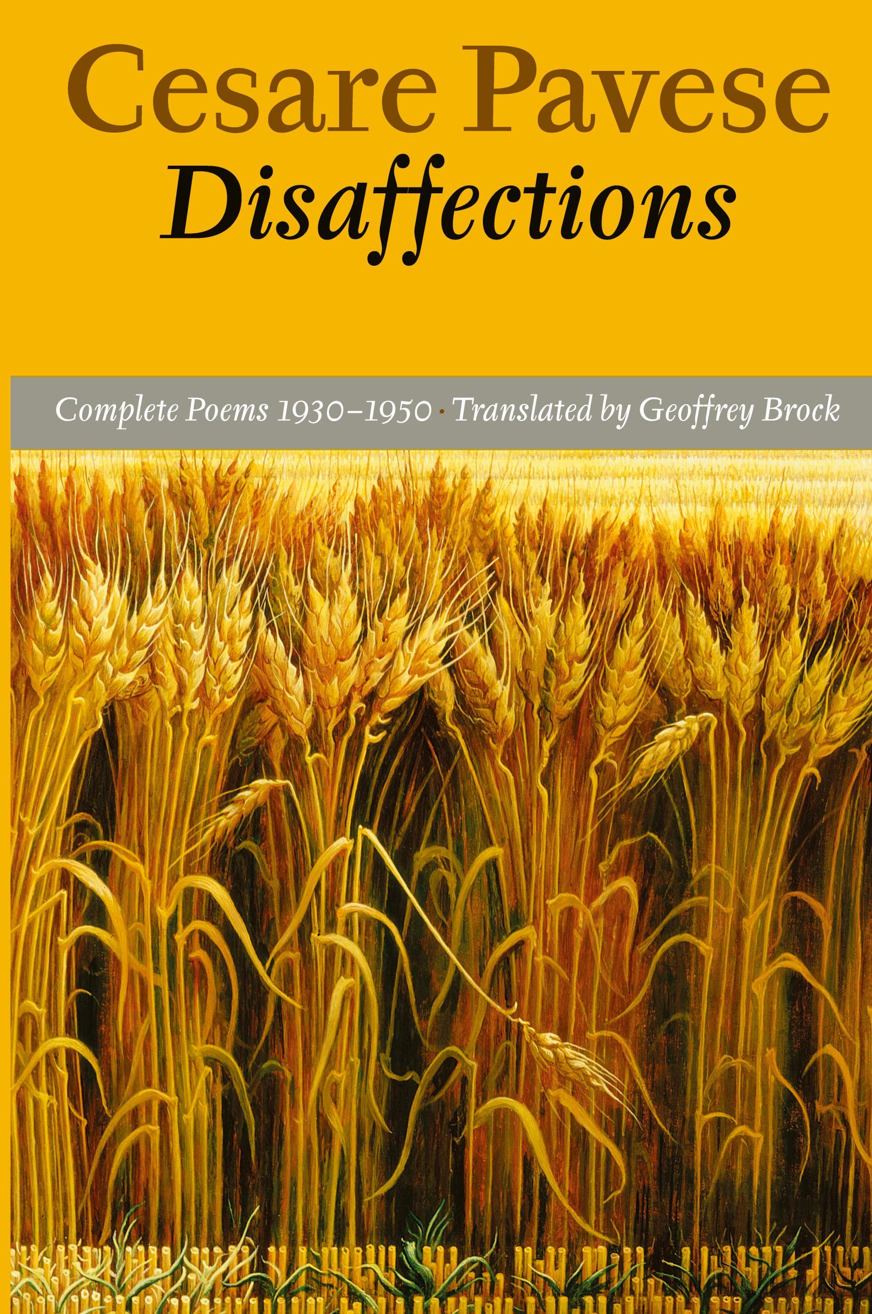Vorderes Coverbild Disaffections