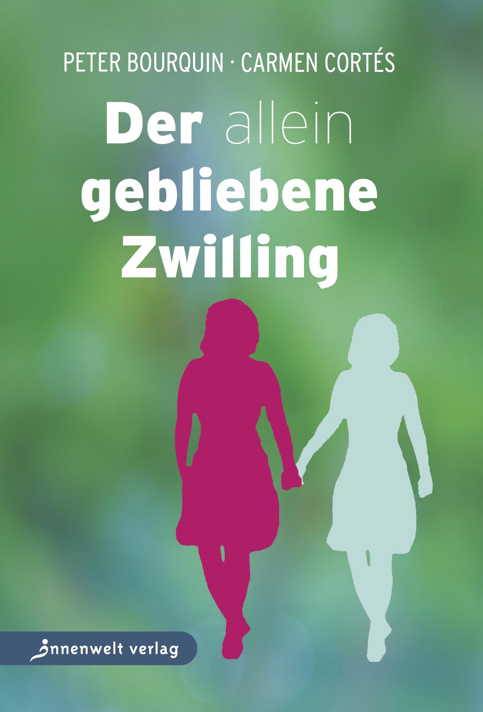 Vorderes Coverbild Der allein gebliebene Zwilling