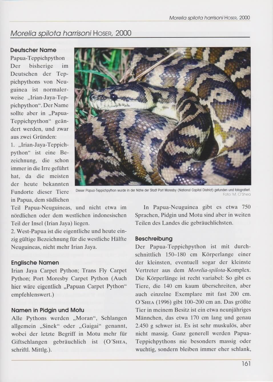 Beispielinhalt (Bild) Rautenpythons