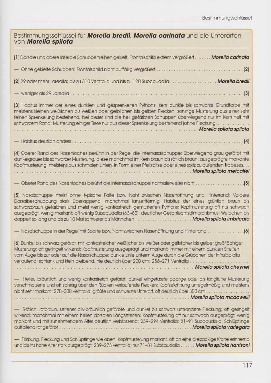 Beispielinhalt (Bild) Rautenpythons