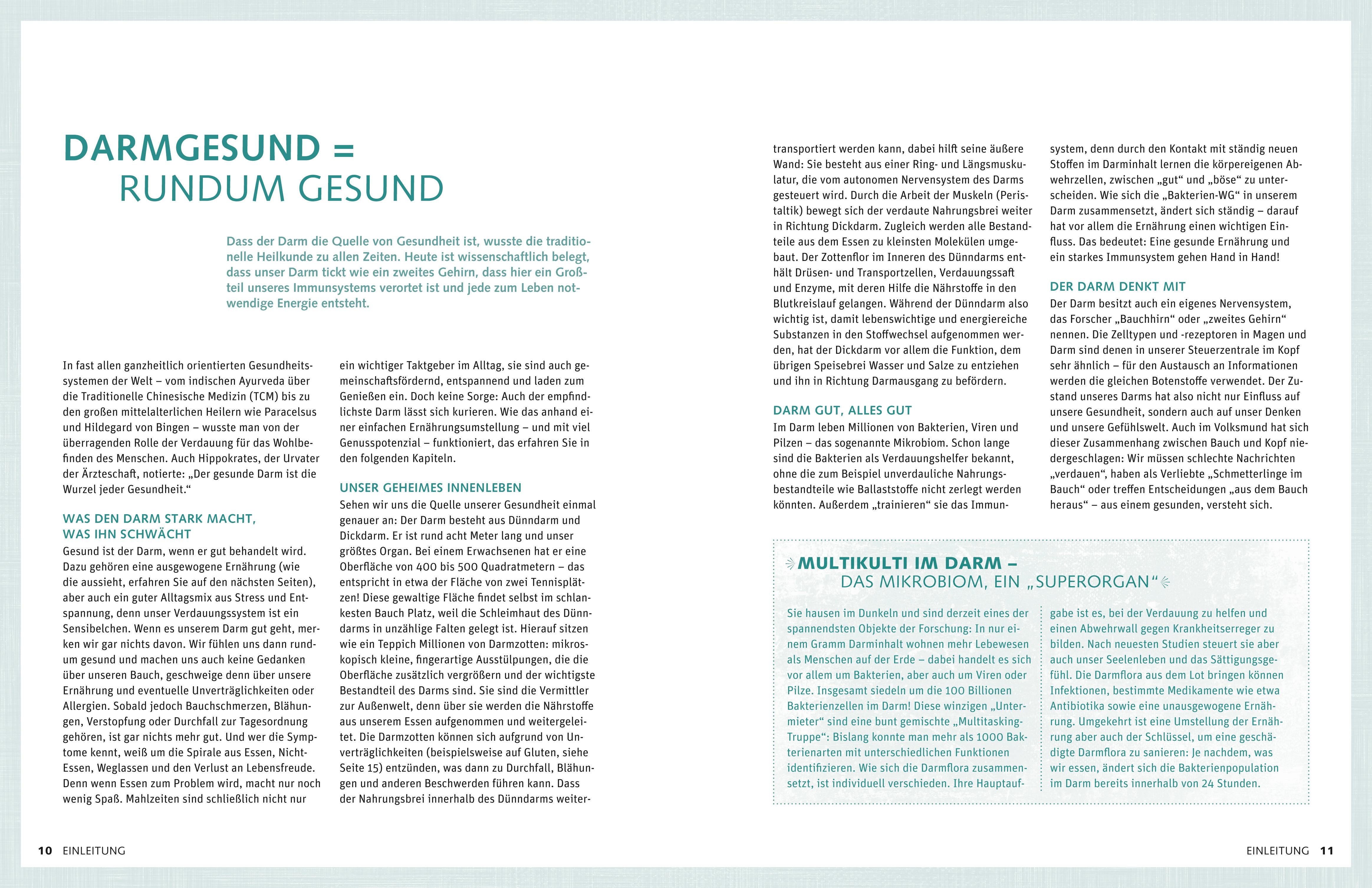 Beispielinhalt (Bild) Das Darm-Kochbuch