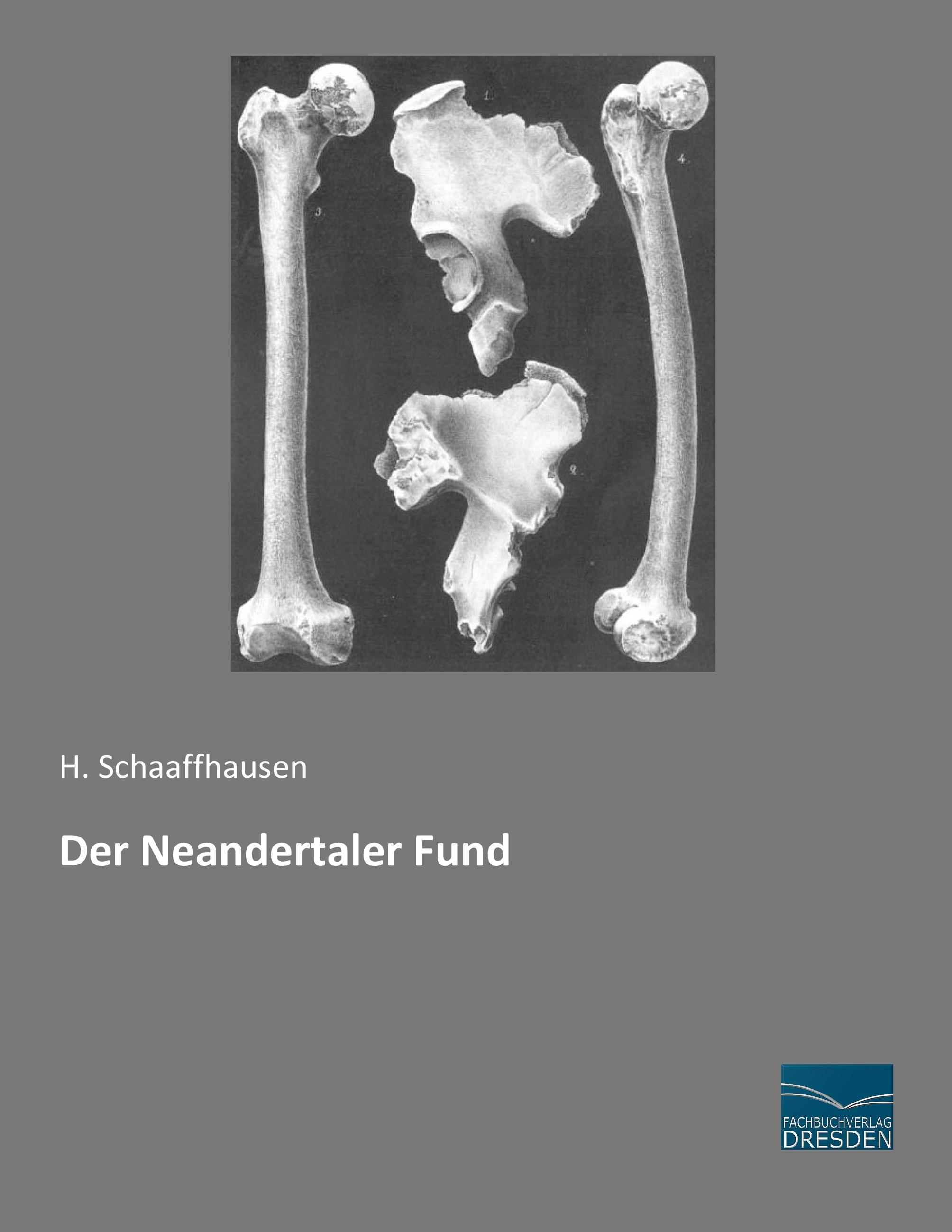 Vorderes Coverbild Der Neandertaler Fund