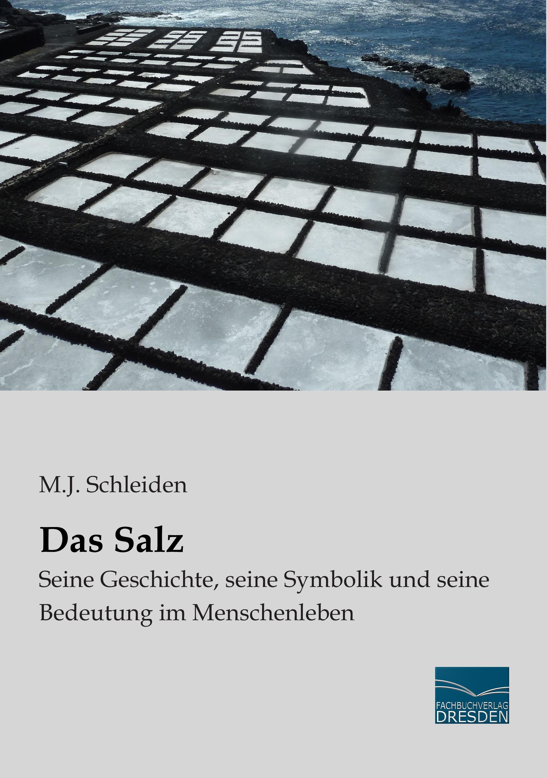 Vorderes Coverbild Das Salz