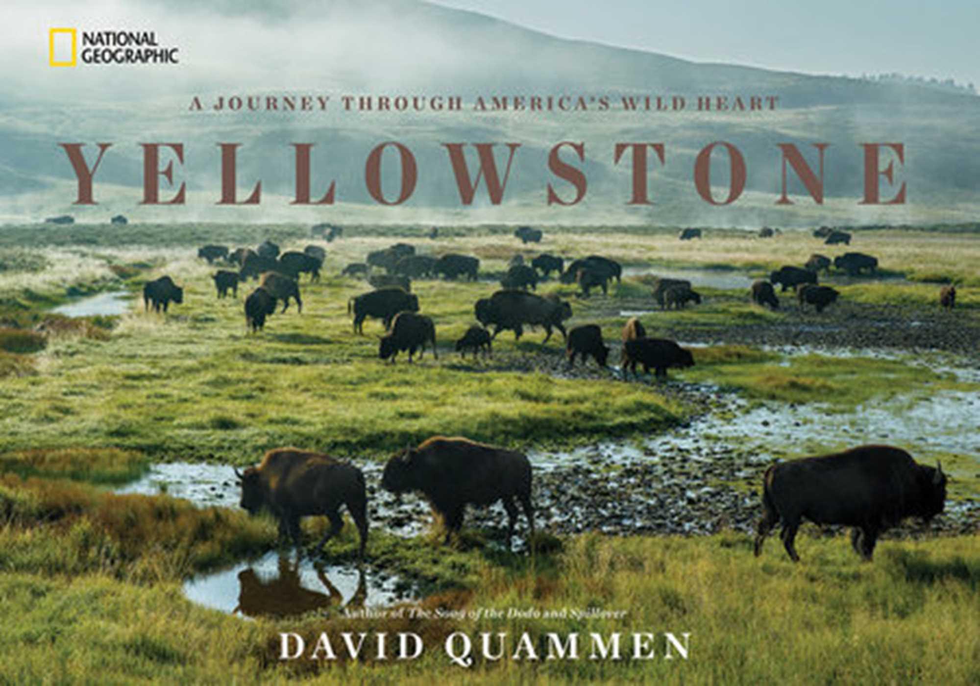 Vorderes Coverbild Yellowstone