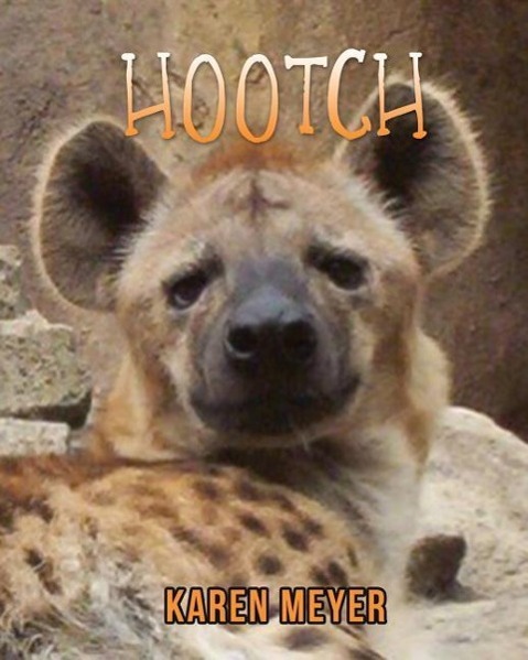 Vorderes Coverbild Hootch