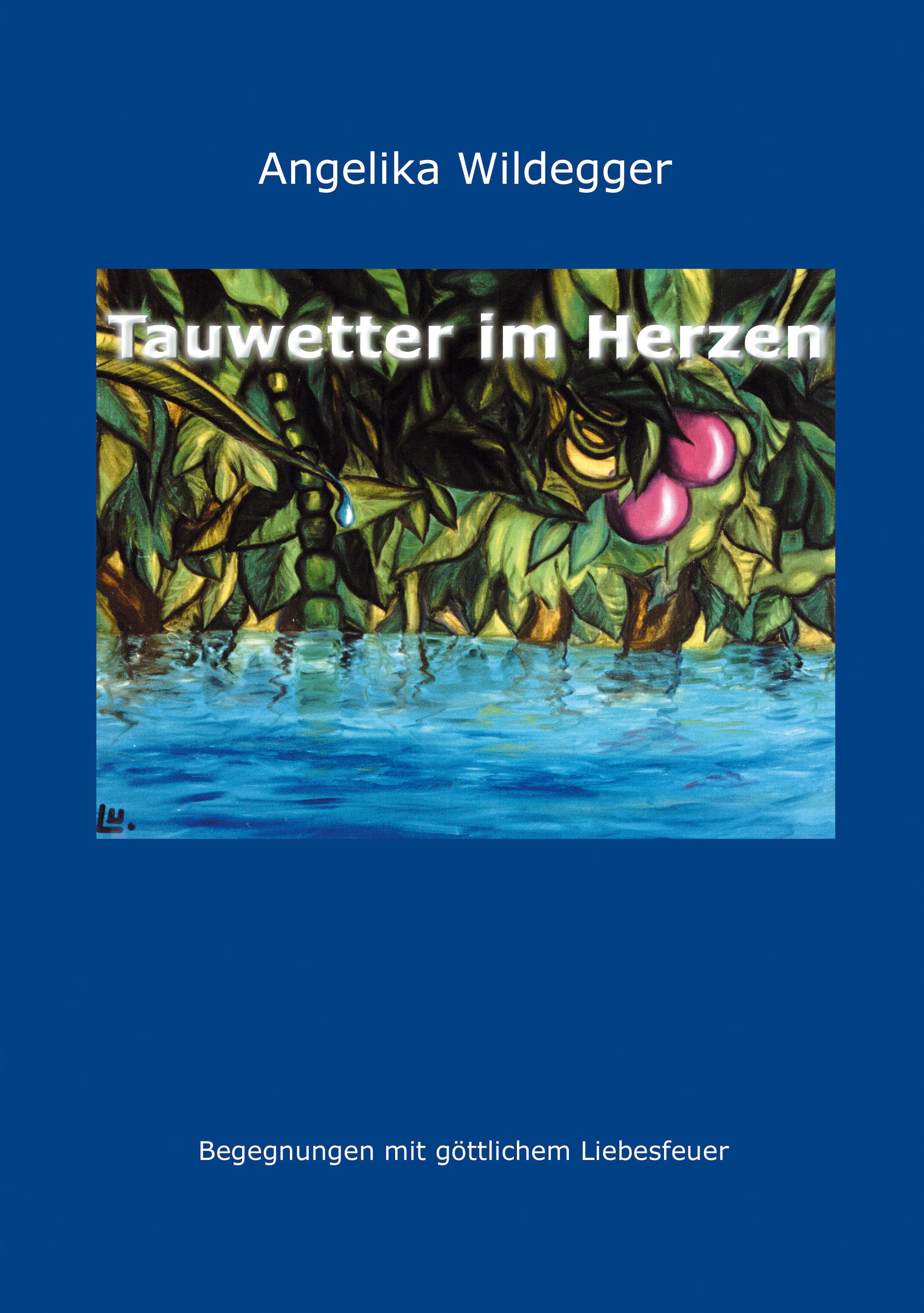 Vorderes Coverbild Tauwetter im Herzen