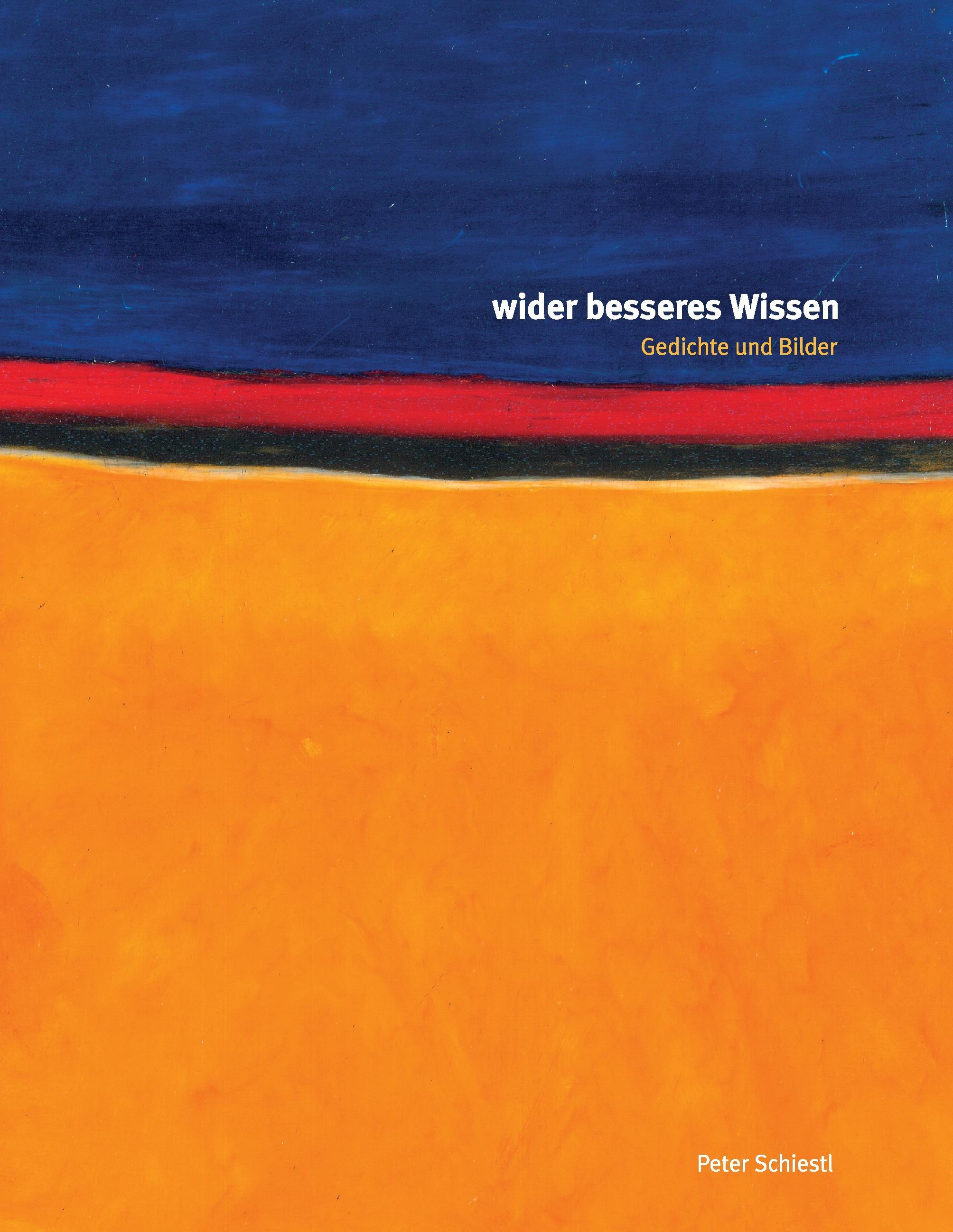 Vorderes Coverbild Wider besseres Wissen