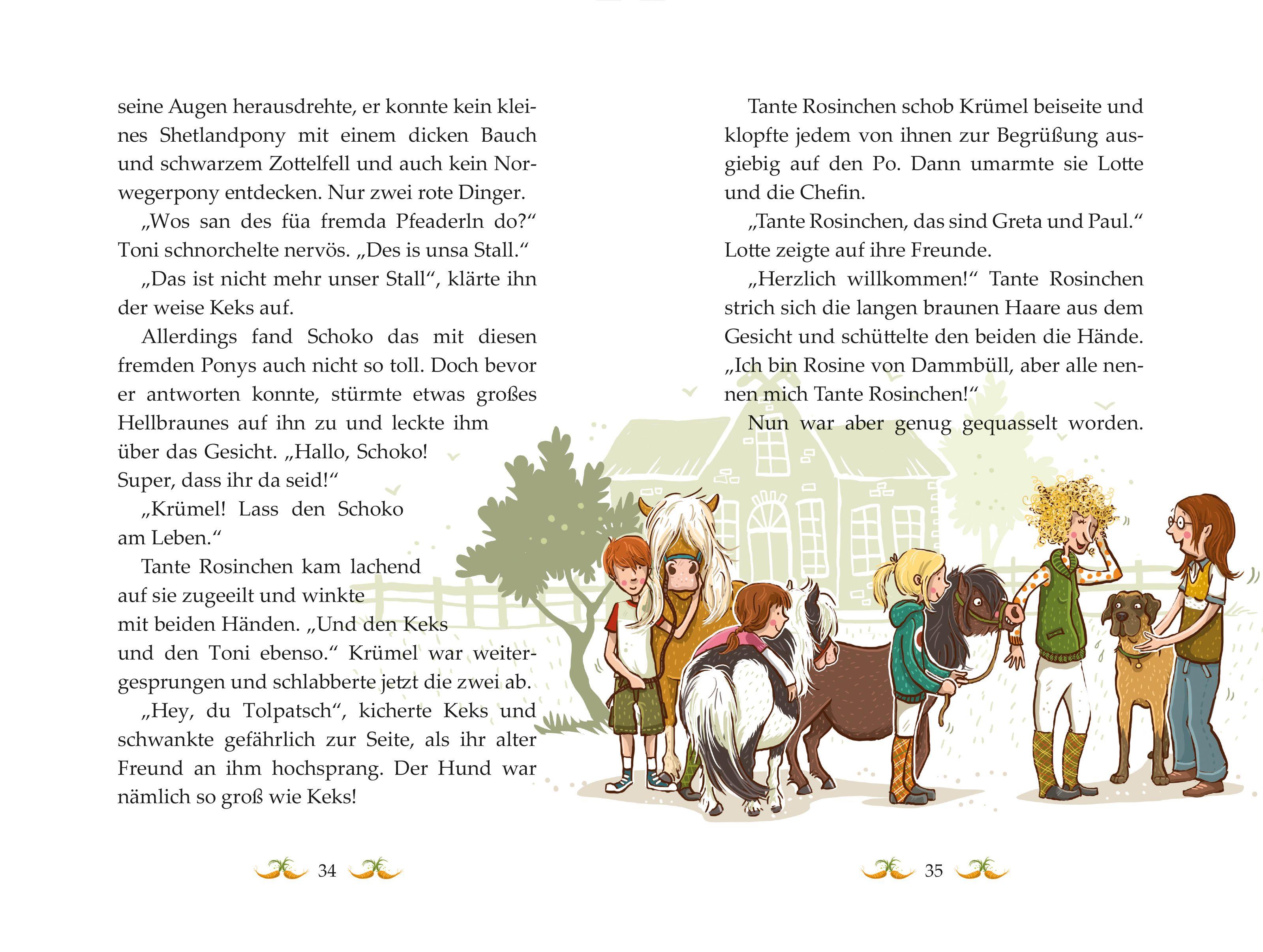 Beispielinhalt (Bild) Die Haferhorde 05. Stallpiraten ahoi!