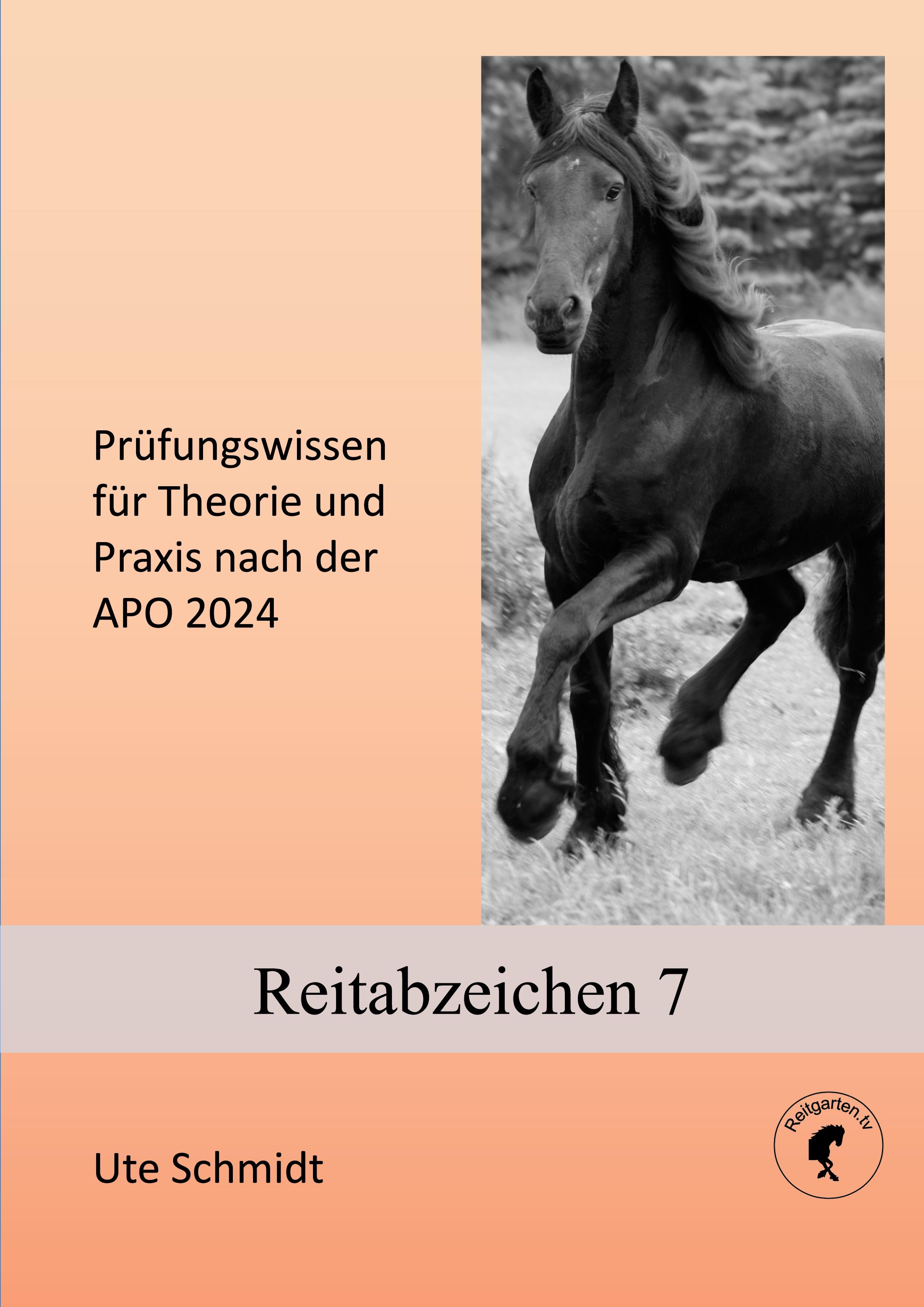 Vorderes Coverbild Reitabzeichen 7