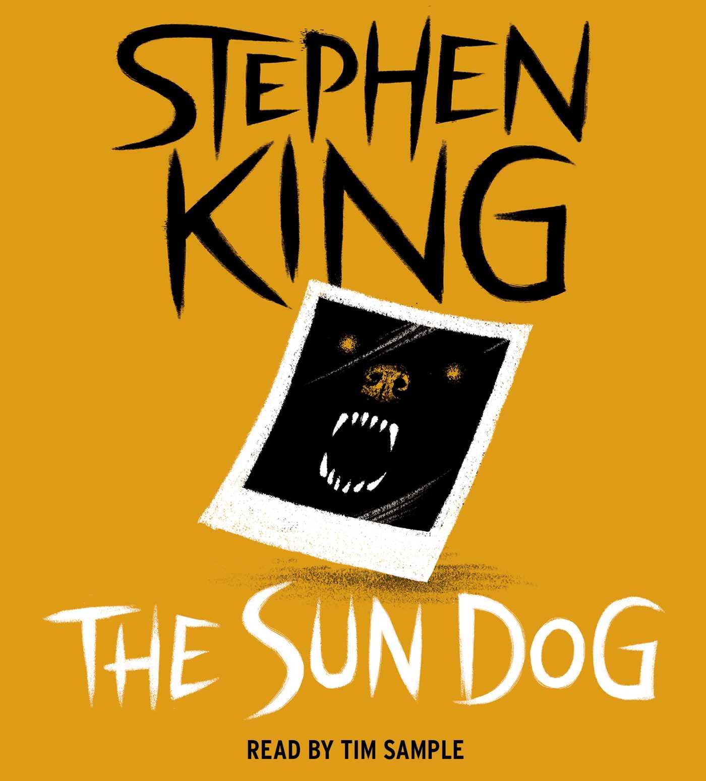 Vorderes Coverbild The Sun Dog