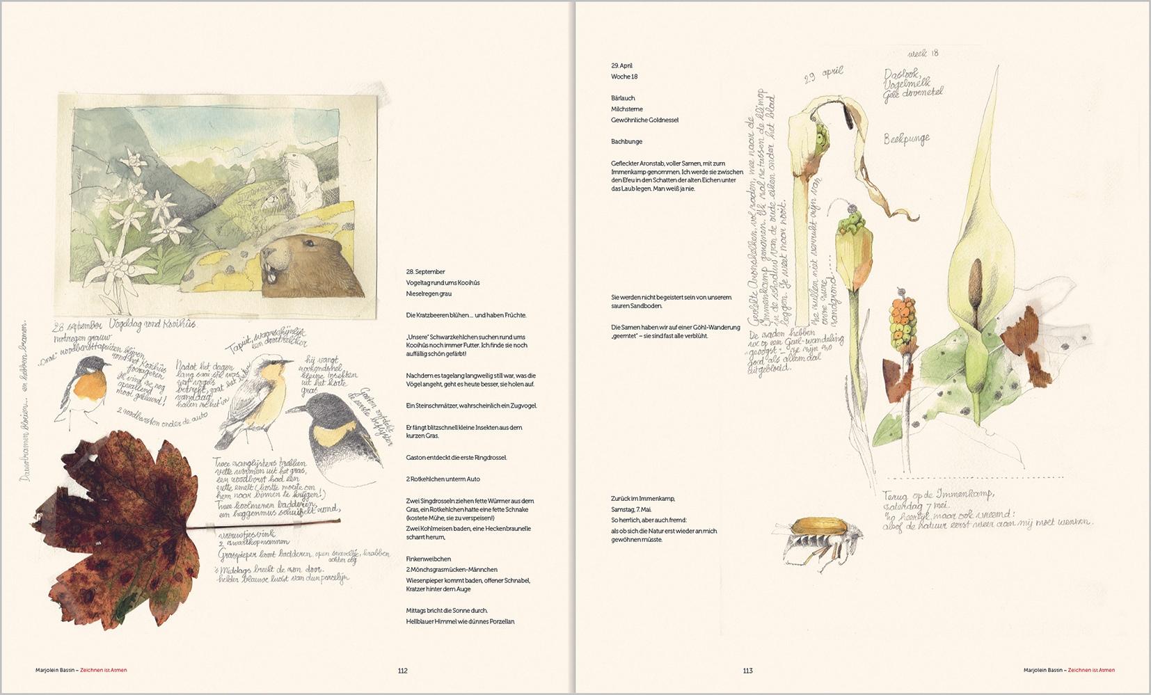 Beispielinhalt (Bild) Marjolein Bastin - Zeichnen ist Atmen