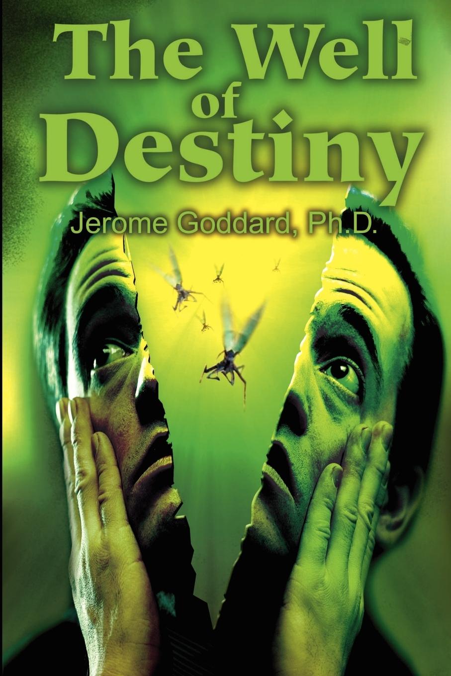 Vorderes Coverbild The Well of Destiny