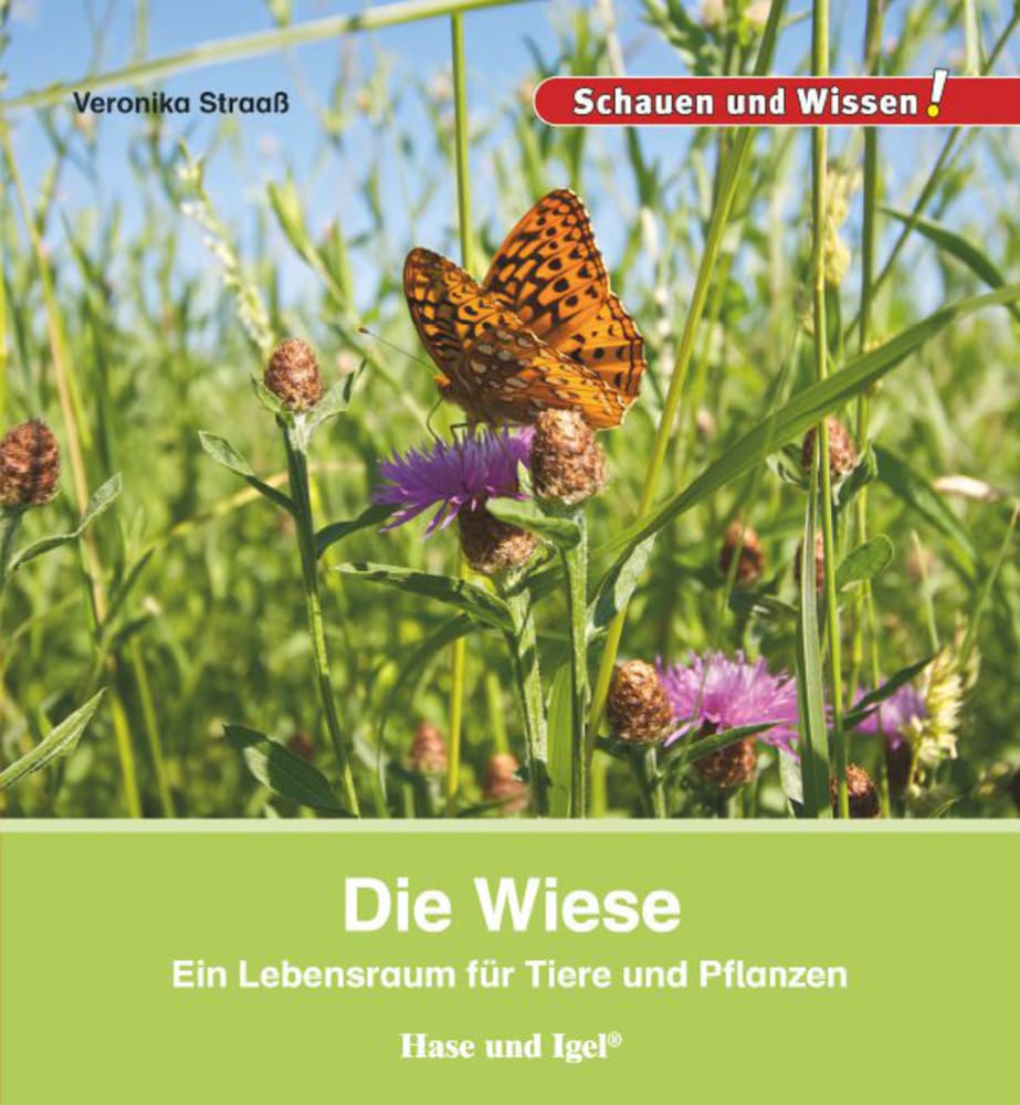 Vorderes Coverbild Die Wiese