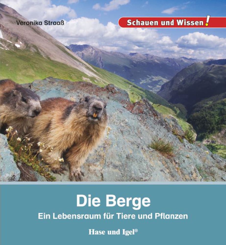 Vorderes Coverbild Die Berge