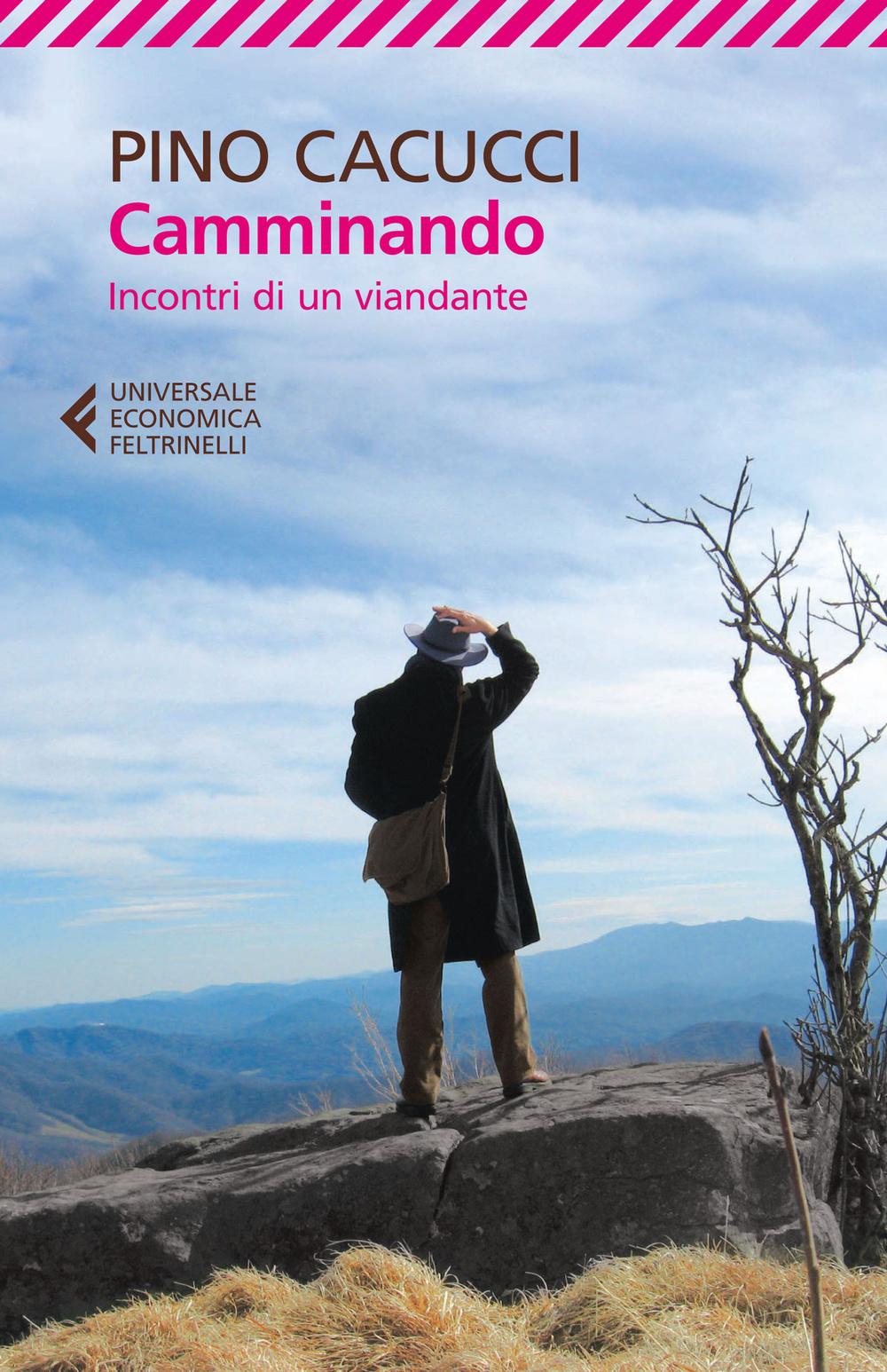 Vorderes Coverbild Camminando. Incontri di un viandante